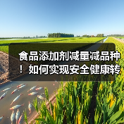 食品添加剂减量减品种！如何实现安全健康转型？（图2）