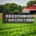 食品添加剂减量减品种！如何实现安全健康转型？（图3）