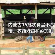 内蒙古15批次食品不合格，农药残留和添加剂超标问题引关注（图2）