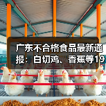 广东不合格食品最新通报：白切鸡、香蕉等19批次被检出问题（图3）