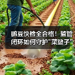 鹏豆快检全合格！监管闭环如何守护