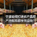 宁波如何打造农产品原产地赋码数字供应链?(图2) 宁波如何打造农产品原产地赋码数字供应链?(图2)