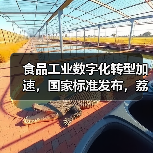 食品工业数字化转型加速,国家标准发布,荔枝食用要注意(图3) 食品工业数字化转型加速,国家标准发布,荔枝食用要注意(图3)