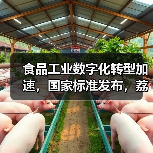 食品工业数字化转型加速,国家标准发布,荔枝食用要注意(图4) 食品工业数字化转型加速,国家标准发布,荔枝食用要注意(图4)