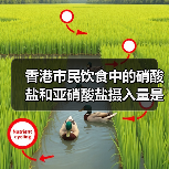 香港市民饮食中的硝酸盐和亚硝酸盐摄入量是否安全？（图3）