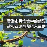 香港市民饮食中的硝酸盐和亚硝酸盐摄入量是否安全？（图1）