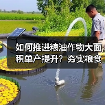 如何推进粮油作物大面积单产提升?夯实粮食丰收基础的关键举措(图3) 如何推进粮油作物大面积单产提升?夯实粮食丰收基础的关键举措(图3)
