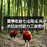 夏粮收割七成完成 先进农机如何助力三夏麦收?(图2) 夏粮收割七成完成 先进农机如何助力三夏麦收?(图2)