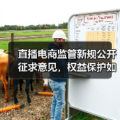 直播电商监管新规公开征求意见，权益保护如何落实？（图1）