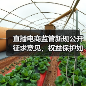 直播电商监管新规公开征求意见，权益保护如何落实？（图2）