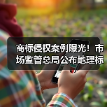 商标侵权案例曝光!市场监管总局公布地理标志保护典型案例(图2) 商标侵权案例曝光!市场监管总局公布地理标志保护典型案例(图2)