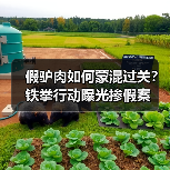 假驴肉如何蒙混过关?铁拳行动曝光掺假案(图2) 假驴肉如何蒙混过关?铁拳行动曝光掺假案(图2)