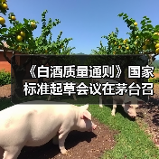 《白酒质量通则》国家标准起草会议在茅台召开如何推动国际化?(图1) 《白酒质量通则》国家标准起草会议在茅台召开如何推动国际化?(图1)