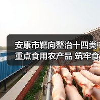安康市靶向整治十四类重点食用农产品 筑牢食品安全防火墙(图3) 安康市靶向整治十四类重点食用农产品 筑牢食品安全防火墙(图3)