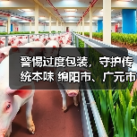 警惕过度包装,守护传统本味 绵阳市、广元市、重庆市北碚区三地消委会、市场监管局联合发布2025年端午节消费提示(图4) 警惕过度包装,守护传统本味 绵阳市、广元市、重庆市北碚区三地消委会、市场监管局联合发布2025年端午节消费提示(图4)