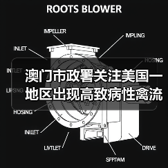 澳门市政署关注美国一地区出现高致病性禽流感(图4) 澳门市政署关注美国一地区出现高致病性禽流感(图4)