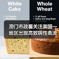 澳门市政署关注美国一地区出现高致病性禽流感(图1) 澳门市政署关注美国一地区出现高致病性禽流感(图1)