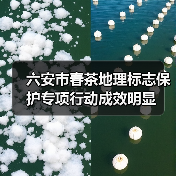 六安市春茶地理标志保护专项行动成效明显(图1) 六安市春茶地理标志保护专项行动成效明显(图1)