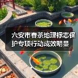 六安市春茶地理标志保护专项行动成效明显(图4) 六安市春茶地理标志保护专项行动成效明显(图4)