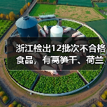 浙江检出12批次不合格食品，有莴笋干、荷兰豆、鳊鱼等（图2）