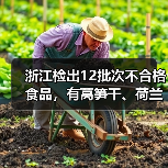 浙江检出12批次不合格食品，有莴笋干、荷兰豆、鳊鱼等（图3）