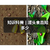 知识科普 | 罐头食品知多少(图4) 知识科普 | 罐头食品知多少(图4)