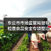 东营市市场监管局督导检查食品安全专项整治工作(图3) 东营市市场监管局督导检查食品安全专项整治工作(图3)
