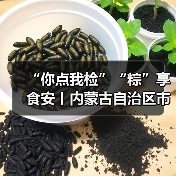 “你点我检”“粽”享食安丨内蒙古自治区市场监管部门三级联动举办食品安全“百姓点检日”活动(图1) “你点我检”“粽”享食安丨内蒙古自治区市场监管部门三级联动举办食品安全“百姓点检日”活动(图1)