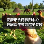 安康市食药检测中心:开展端午节前粽子专项抽检工作(图2) 安康市食药检测中心:开展端午节前粽子专项抽检工作(图2)