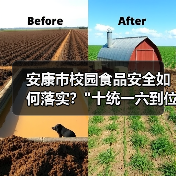 安康市校园食品安全如何落实? 安康市校园食品安全如何落实?