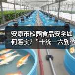 安康市校园食品安全如何落实? 安康市校园食品安全如何落实?
