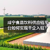 咸宁食品饮料供应链平台如何实现千企入驻?激活产业新动能全解析(图1) 咸宁食品饮料供应链平台如何实现千企入驻?激活产业新动能全解析(图1)