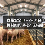 食品安全