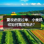 夏收进度过半，小麦机收如何高效推进？（图4）