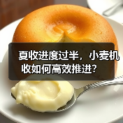 夏收进度过半，小麦机收如何高效推进？（图3）