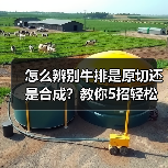 怎么辨别牛排是原切还是合成?教你5招轻松判断(图4) 怎么辨别牛排是原切还是合成?教你5招轻松判断(图4)