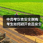中高考饮食安全指南:考生如何避开食品安全陷阱(图1) 中高考饮食安全指南:考生如何避开食品安全陷阱(图1)