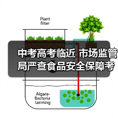 中考高考临近 市场监管局严查食品安全保障考生饮食安全(图4) 中考高考临近 市场监管局严查食品安全保障考生饮食安全(图4)