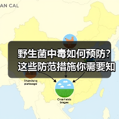 野生菌中毒如何预防?这些防范措施你需要知道(图2) 野生菌中毒如何预防?这些防范措施你需要知道(图2)
