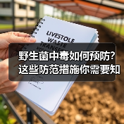 野生菌中毒如何预防?这些防范措施你需要知道(图3) 野生菌中毒如何预防?这些防范措施你需要知道(图3)
