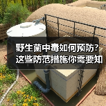 野生菌中毒如何预防?这些防范措施你需要知道(图1) 野生菌中毒如何预防?这些防范措施你需要知道(图1)