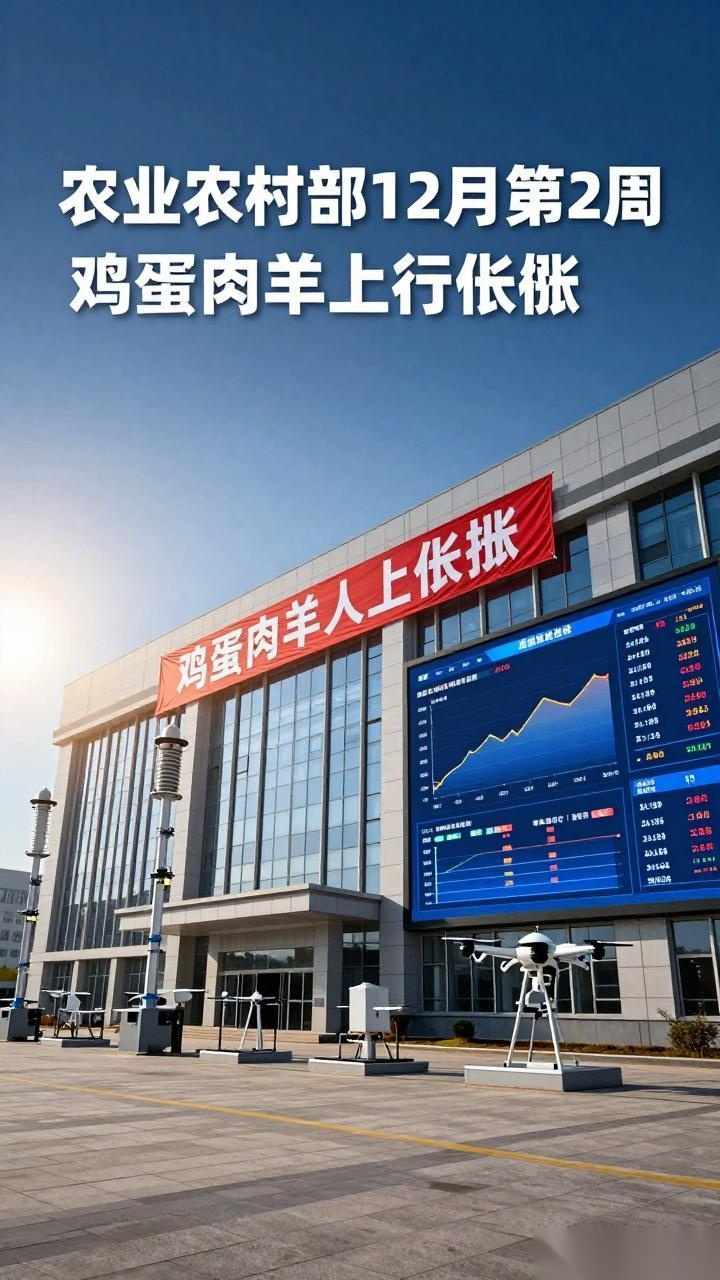 农业农村部：12月第2周鸡蛋、肉羊价格环比上涨