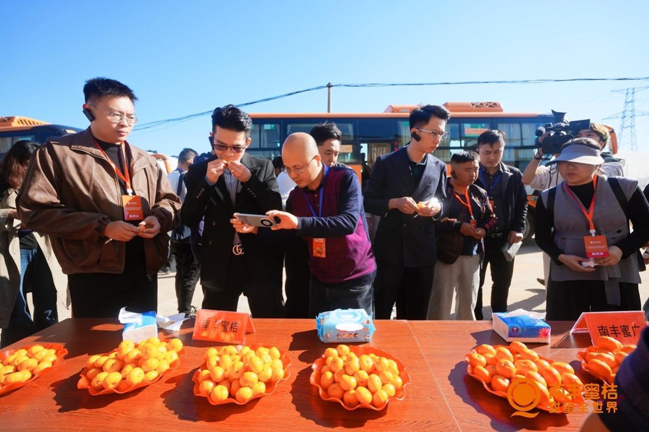 第十七届江西南丰蜜桔文化旅游节开幕,南丰蜜桔品牌升级战略发布(图15) 第十七届江西南丰蜜桔文化旅游节开幕,南丰蜜桔品牌升级战略发布(图15)