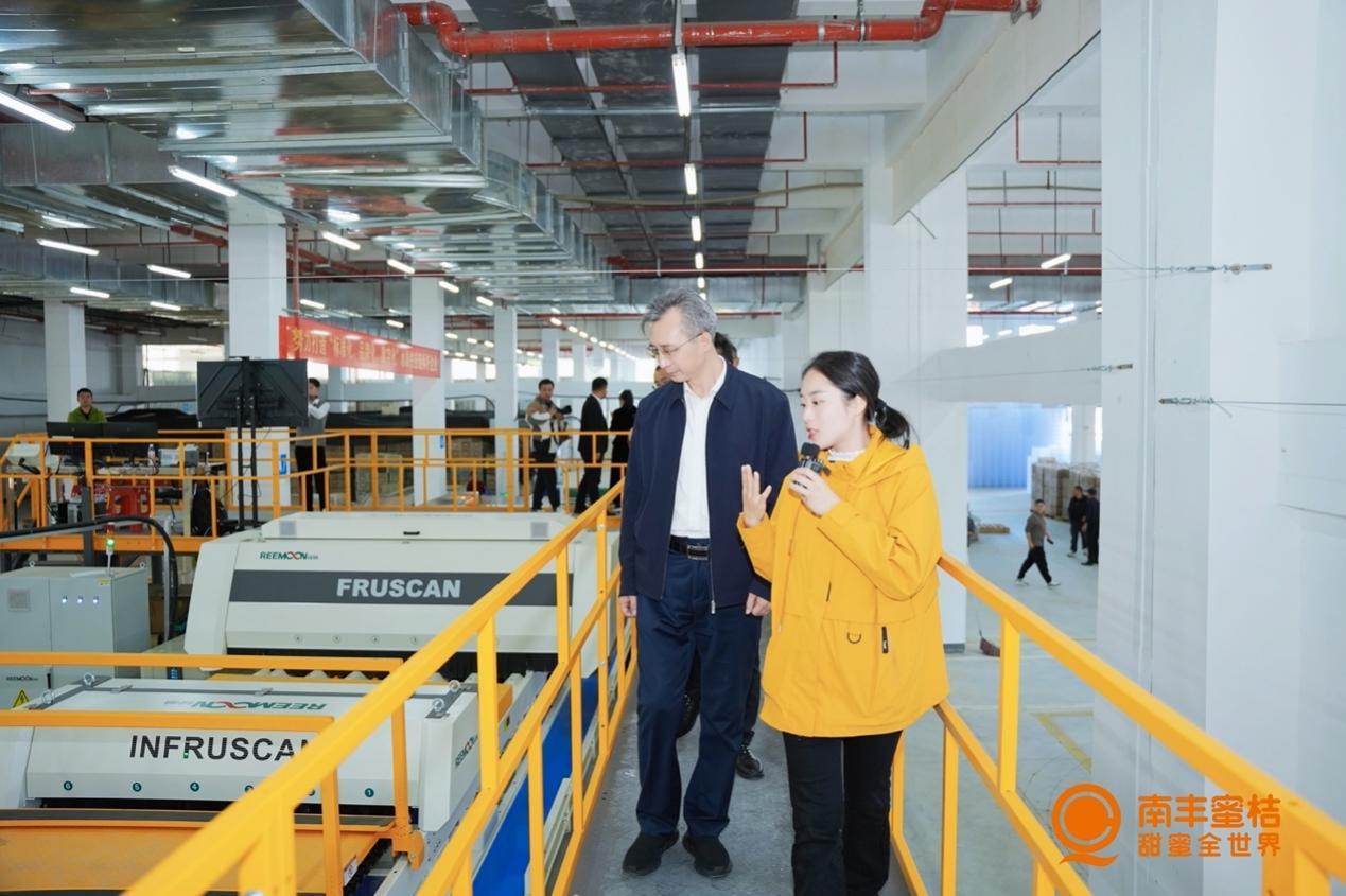 第十七届江西南丰蜜桔文化旅游节开幕,南丰蜜桔品牌升级战略发布(图16) 第十七届江西南丰蜜桔文化旅游节开幕,南丰蜜桔品牌升级战略发布(图16)