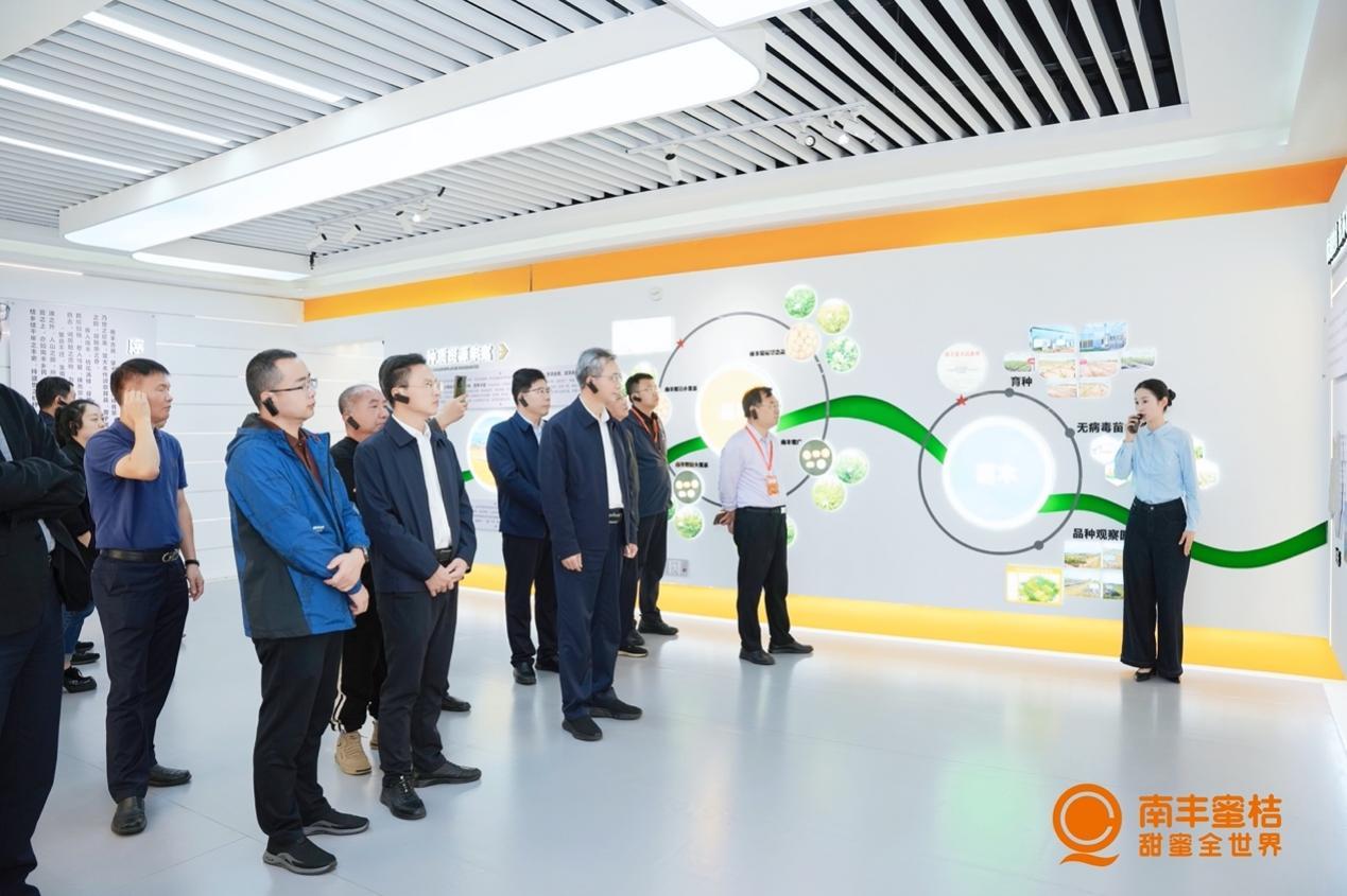 第十七届江西南丰蜜桔文化旅游节开幕,南丰蜜桔品牌升级战略发布(图17) 第十七届江西南丰蜜桔文化旅游节开幕,南丰蜜桔品牌升级战略发布(图17)