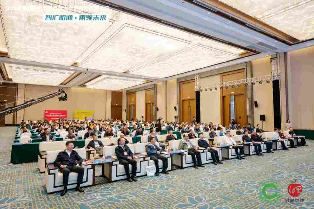 智汇昭通 果领未来-2025中国(昭通)苹果品牌大会暨创新发展论坛在云南昭通隆重举办(图1) 智汇昭通 果领未来-2025中国(昭通)苹果品牌大会暨创新发展论坛在云南昭通隆重举办(图1)