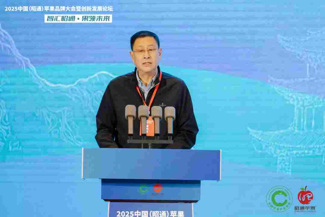 智汇昭通 果领未来-2025中国(昭通)苹果品牌大会暨创新发展论坛在云南昭通隆重举办(图3) 智汇昭通 果领未来-2025中国(昭通)苹果品牌大会暨创新发展论坛在云南昭通隆重举办(图3)