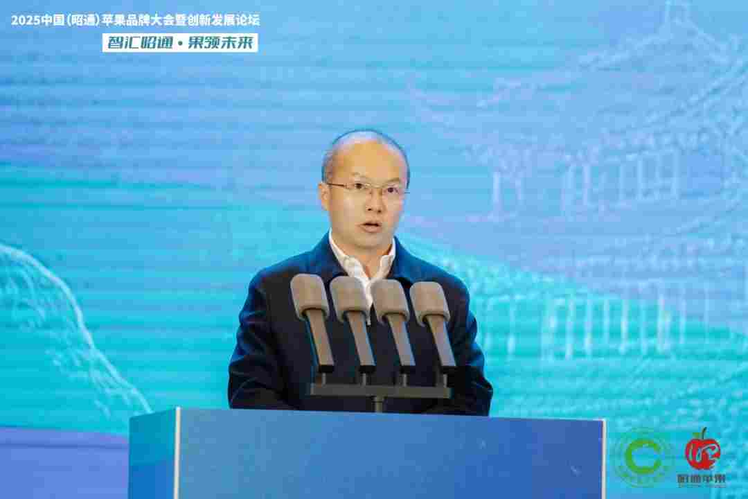 智汇昭通 果领未来-2025中国(昭通)苹果品牌大会暨创新发展论坛在云南昭通隆重举办(图4) 智汇昭通 果领未来-2025中国(昭通)苹果品牌大会暨创新发展论坛在云南昭通隆重举办(图4)
