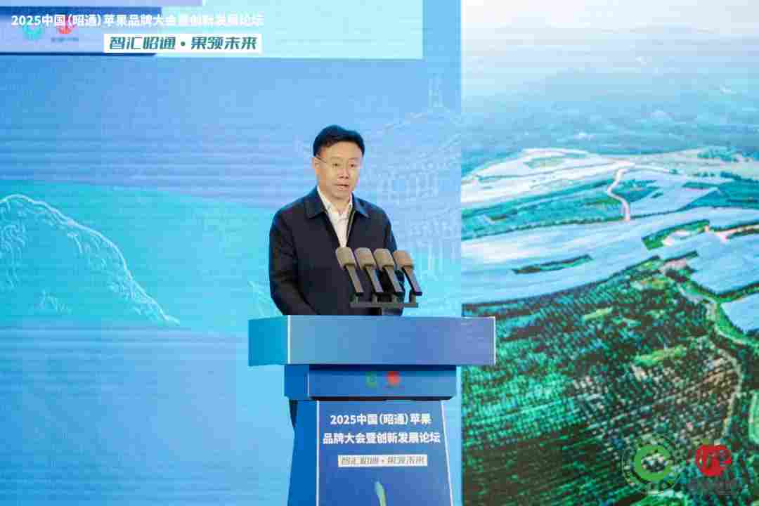 智汇昭通 果领未来-2025中国(昭通)苹果品牌大会暨创新发展论坛在云南昭通隆重举办(图6) 智汇昭通 果领未来-2025中国(昭通)苹果品牌大会暨创新发展论坛在云南昭通隆重举办(图6)