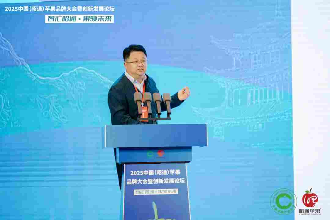 智汇昭通 果领未来-2025中国(昭通)苹果品牌大会暨创新发展论坛在云南昭通隆重举办(图8) 智汇昭通 果领未来-2025中国(昭通)苹果品牌大会暨创新发展论坛在云南昭通隆重举办(图8)